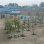 Inside the courtyard of Grover Washington Jr. Middle school. A large area in the middle of the school with trees and tables. This is the area kids can go out into on nice days after the eat lunch.